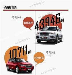 網通社汽車佳木斯安信 專業銷售服務，驅動龍江出行新體驗